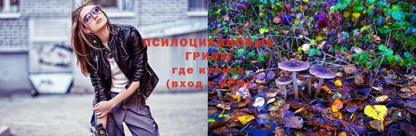 mdpv Верея