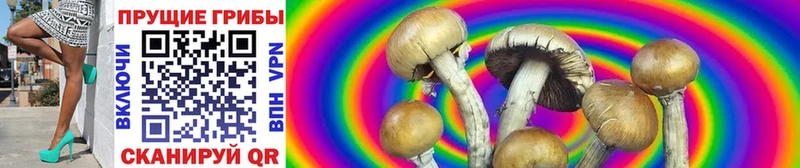Купить закладки  Крым  Псилоцибиновые грибы прущие грибы 